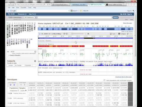 Video Tip of the Week: 1000 Genomes Dataset Browser from NCBI