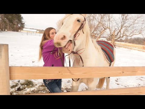 Putting a BRIDLE and a BAREBACK PAD on a YEARLING