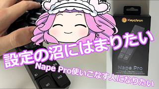 【四国めたん】Nape Proを使い始めてしばらくたっての設定と感想！