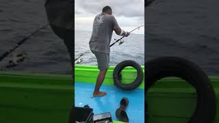 preview picture of video 'Trip tuna biru pulau aur@dayang bulan 4 2018...merah 6kg'
