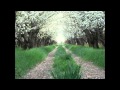 In the Orchard 2011 - Nick 13 (with lyrics) 