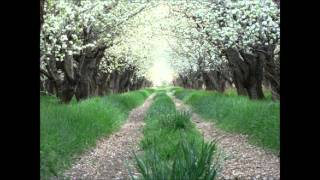 In the Orchard 2011 - Nick 13 (with lyrics)
