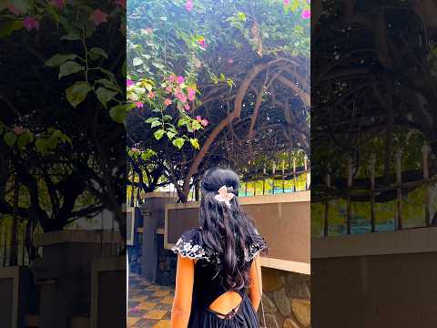 In love with the flowers 🌼