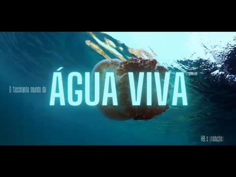 Documentário - O fascinante mundo da Água Viva