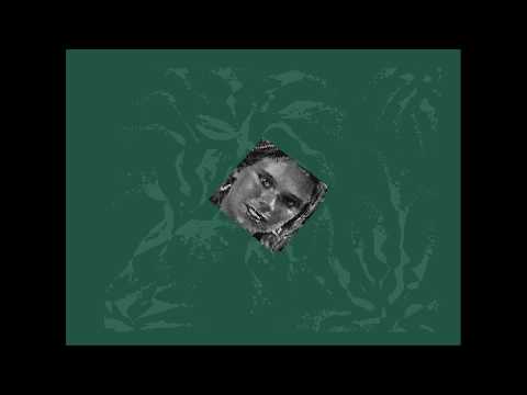 AMIGA-Demo "MadWizards: Morgoth (64k Intro)"