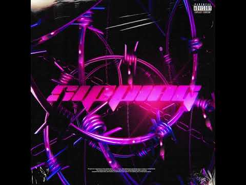 BEIZEN x SAN TEA - SIPPING🎁