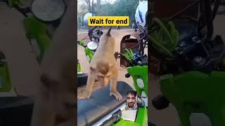 wait for and  ? funny video // shorts #shortvideo #youtubeshorts
