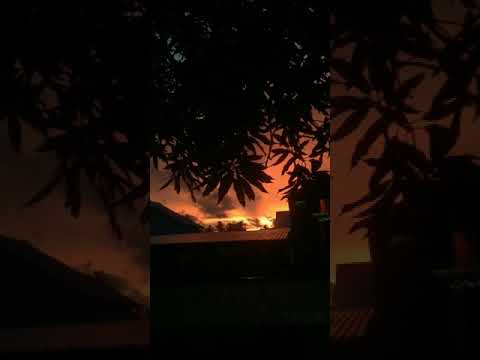 su tarada yang pasti😇😚(Story papua)