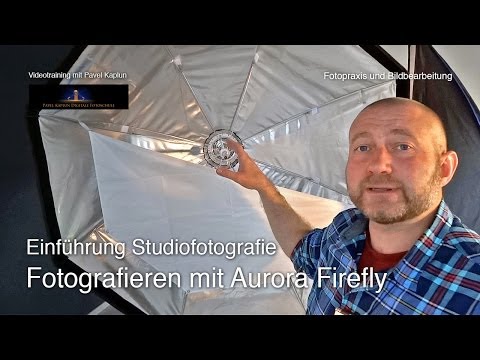 Einführung Studiofotografie: Fotografieren mit Aurora Firefly XL 120