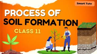 Process of Soil Formation - Geomorphic Processes | Class 11 Geography | NCERT