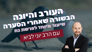 העורב והיונה- הבשורה שאחרי הסערה | שיעור מיוחד לפרשת נח עם הרב יוני לביא (הרב יוני לביא) - התמונה מוצגת ישירות מתוך אתר האינטרנט יוטיוב. זכויות היוצרים בתמונה שייכות ליוצרה. קישור קרדיט למקור התוכן נמצא בתוך דף הסרטון