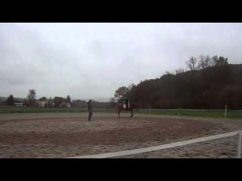 Sitzlonge Urban 5.11.2014