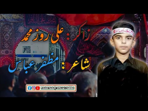 Zakir Ali Rose Muhammad Pashto New Nohay 2024-25 | Pashto New Nohay | Pashto Nohay Official