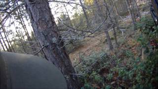 preview picture of video 'Airsoft Sweden, Into Shadows 2014-09-27'