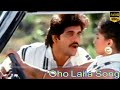 Chaitanya || Telugu Movie Songs || Oho Laila Video Song || Nagarjuna || Gautami || Ilayaraja ||