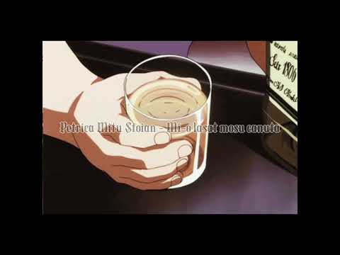 petrica mitu stoian - mi-o lasat mosu' canuta ( slowed and reverb )