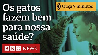 Miniatura do vídeo