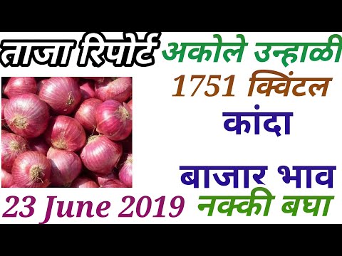 कांदा बाजार भाव/प्याज मार्केट रिपोर्ट/onion market report Video