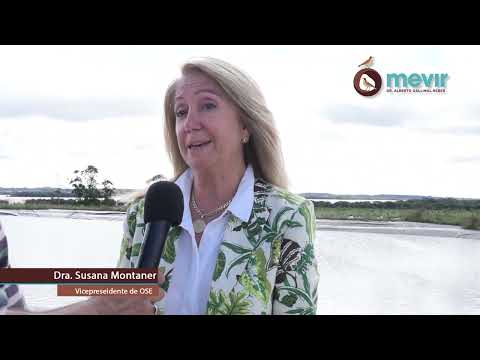 Mones Quintela. Artigas