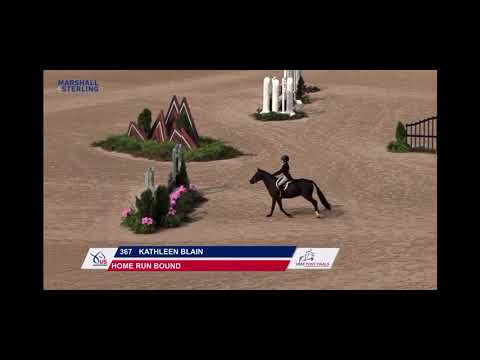 Home Run Bound video 1