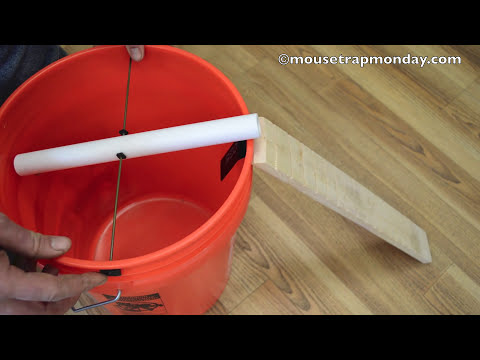 Teeter Totter Bucket Mouse Trap In Action with motion cameras - mousetrapmonday Video