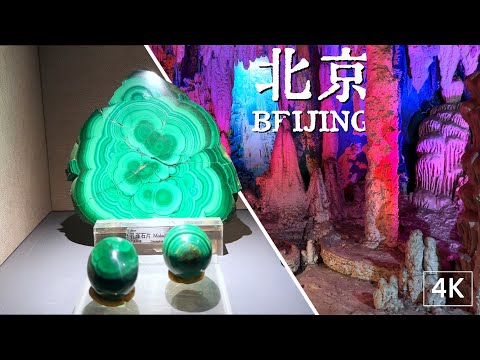 Geological Museum of China
