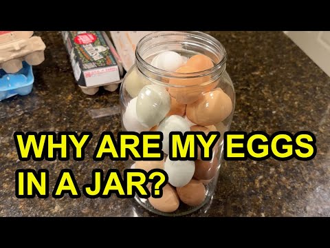 How to Keep Eggs Fresh for 12+ Months – Easier Than You Think!