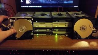 The Floppestra: Stuck In The Middle