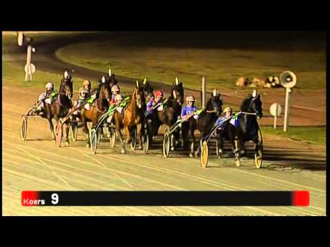 Victoria Park Wolvega 25-2-2013 KOERS 9 - VENIVIDIVICI JOE - H.W. LANGEWEG JR