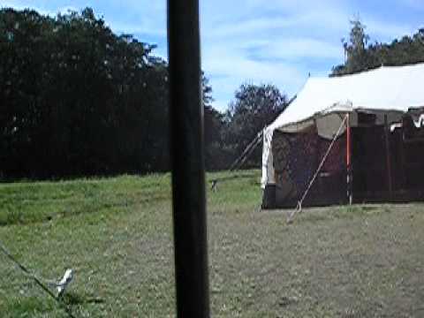 10 years of Mayapur sound system