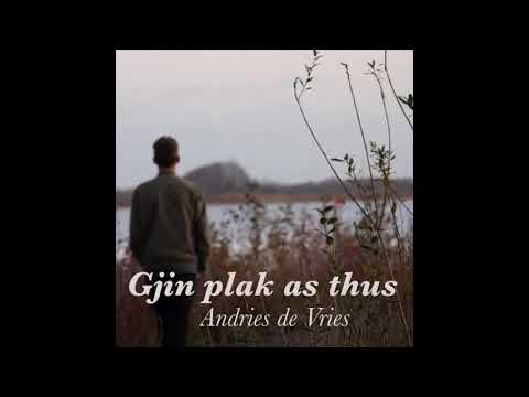 Andries de Vries  - Gjin plak as thus