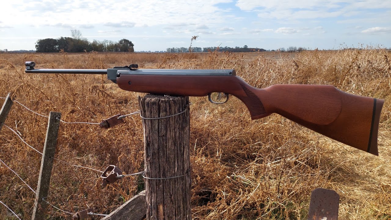 Caza De Palomas Con Rifle Resortero Calibre 4.5 Alemán.