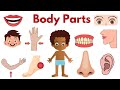 Parts Of Body Parts Of The Body In English Parts Of Body Names Bodyparts Educationalvideo