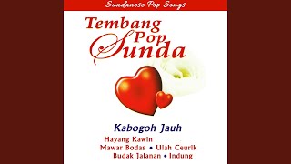 Download lagu Jalir Jangji mp3