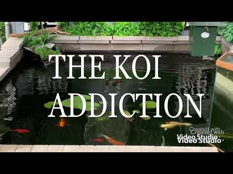 New pond syndrome 1/2 way done on the New Pond!!!