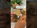 Fast Manifestation By Bay Leaf Attract Anything What U Want