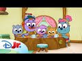 Work It Out Wombats Full Episode S2 E12 Disneyjr