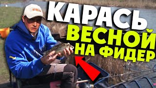 Ссылка