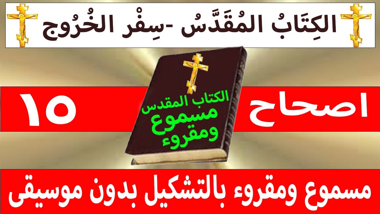فيديو تفسير الكتاب المقدس | الكتاب المقدس رفيقي