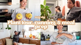 Daily Life | Ah! These Apartment Plants are so Cute!