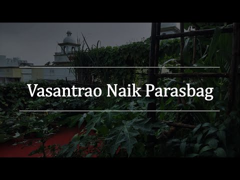 A Glance at Vasantrao Naik Parasbag