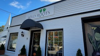 Wild Roots, Sunderland, MA