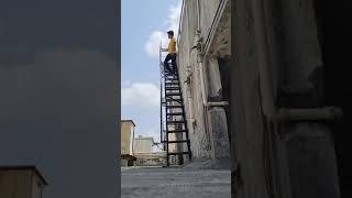 IMDb RATING OF RADHE | #livecount #shorts