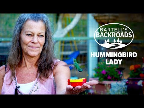 How one lady attracts hundreds of hummingbirds to her California home | Bartell's Backroads