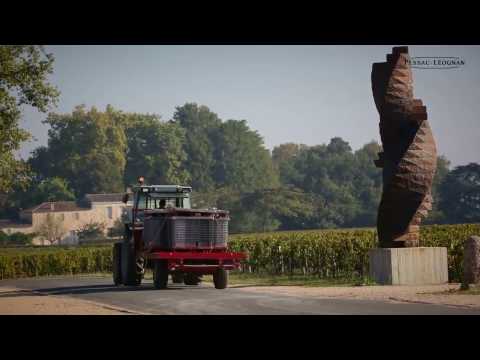 Vins de Pessac Léognan