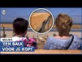 Gestuntel bij bankje: wie heeft dit bedacht?!