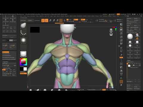 43 Image Planes and Starting the Anatomy Blockout - Intro to Zbrush