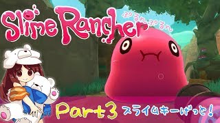【スライムランチャー】ついにスライムキーゲット！どんどん便利になるよ♪