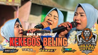Download lagu KEKECOS BELING || WINDA DWI LESTARI || HILLAL PUTRA || TANJUNG CIPUNAGARA SHOW mp3 Download lagu KEKECOS BELING || WINDA DWI LESTARI || HILLAL PUTRA || TANJUNG CIPUNAGARA SHOW mp3