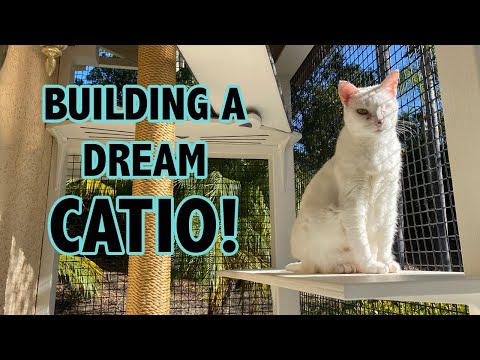 Building a Catio for my Cats (From Start to Finish!)